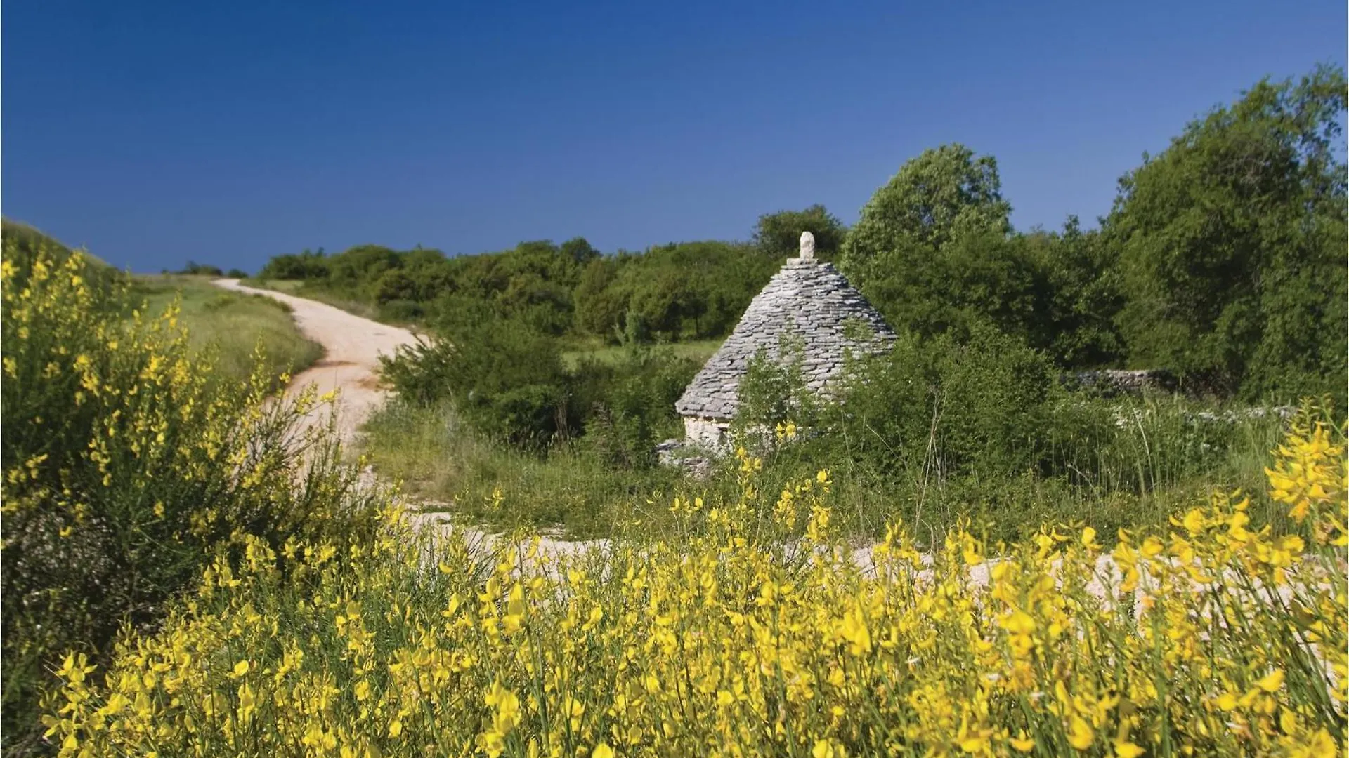 Holiday home 3 Bedroom Gorgeous Home In Domijanici Zminj